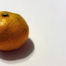 유락농장 이미지