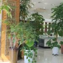 금강안경콘택트 이미지