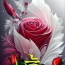 늘;한결같은 이미지