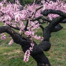 감곡농장 이미지