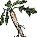 봉두농장 이미지