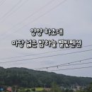 양양하조대마당넓은밤하늘별빛펜션