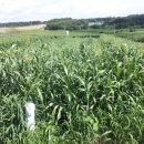 토리농장 이미지