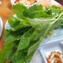 김해수 농장 네이버블로그