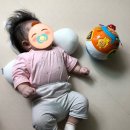 [신생아침대추천] 범퍼침대와 데이베드 장단점 및 솔직 사용후기:)
