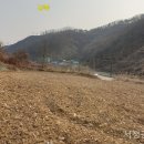 충북 괴산군 문광면 1,643㎡(497) 토지 매매 8,500만원 이미지