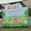 한라도서관 | 제주 한라도서관 숲으로 오라 | 아이와 함께한 숲축제 후기
