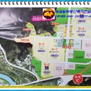 황금부동산컨설팅 이미지