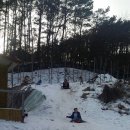 은행나무펜션 이미지