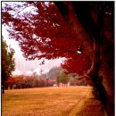 여천모텔 이미지