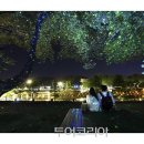 대숲향기 이미지