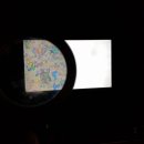 담양죽녹원국수 이미지