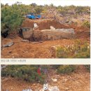 남경중공업(주)화순지점 | 0063.철기문화 _ ③ 철기시대의 유적 &lt;무덤&gt;