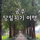 금강운수 노동조합 | 공주 부자떡집 피탕김탕 바므 공주산성 맛집 카페 당일치기 코스 가볼만한곳