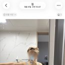 3월에 하고 또 받고왔다 명동 팔뚝 지방분해주사 2회차 피부과 전문의 벤자민 피부과 의원