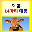 소뿔 이미지