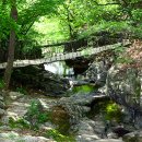 영화동천 이미지