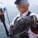 블루마린 이미지