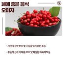 기관지천식 기관지에 좋은 음식 차 복합식품 이미지