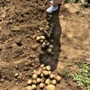 헤이리농장 이미지