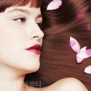 베네치아헤어 - 중구 | 베네치아헤어