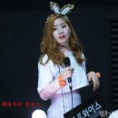 토토밤 네이버블로그