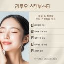 연세봄스킨