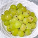 빛그린 | 해름에서 빛그린 산골농원 샤인머스켓 구매후기