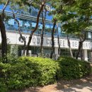 산호대로31길-1 네이버블로그