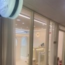 단비네펫살롱 이미지