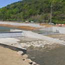 정동1교 이미지