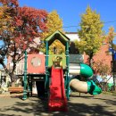 대명5동 주민센터 이미지