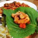 시골낙지 이미지