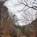 소설따라 세계여행 | 영월 4경 김삿갓유적지 난고 김삿갓문화관 동강 따라 드라이브와 산책까지 한 번에 즐기는 여행