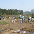 하바드어린이집 이미지