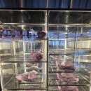 국수나무 매곡점 | [울산 북구] 울산 매곡 고기집 추천 직접 구워주는 고기 가족외식 및 회식장소 '청반도 매곡점' 후기