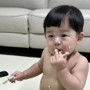 그레이토라멘 이미지