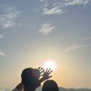 비고리조트 6 이미지