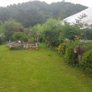정원소품 마블 오리 , 거북이 , 달팽이 인형 후기사진 :)