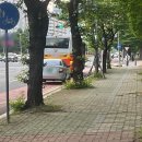 남산비타민약국 이미지