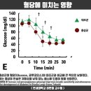 당뇨정상수치, 당뇨 식이요법 검토하기 이미지