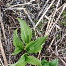 물골농장 이미지