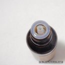 보태니컬 이미지