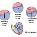 강앤정동물병원 이미지