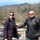 ㈜화인관광 이미지