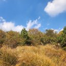 인형의 거리(뱀) | 혼자서 올라가본 원물오름 / 이제서야 남기는 2024년 크리스마스 마켓 후기