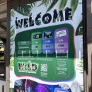 (주)이코스트 | 골드코스트 투어 | 브리즈번에서 골드코스트 이동 방법 추천