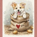 This is my first time in 'Bubble' 이미지