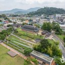 올리브영 인천강화점 이미지