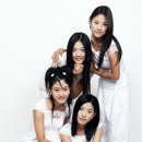 핑클 이미지